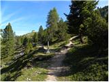 Carbonin - Dürrensteinhütte / Rifugio Vallandro